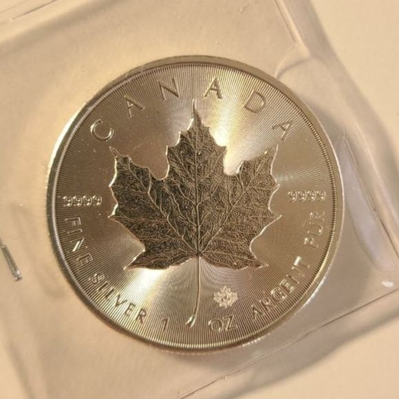 Canadian Silver Maples 2020 .999 - Picture 1 of 2